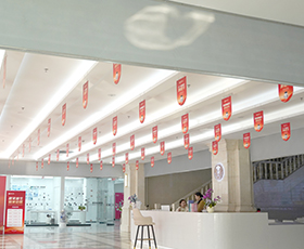 ����ʿ����